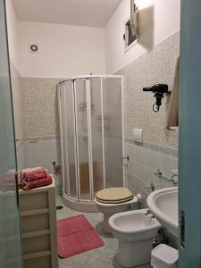 een badkamer met een douche, een toilet en een wastafel bij Un sogno chiamato Ravello in Ravello