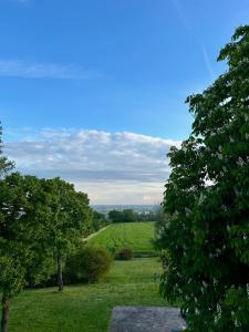une vue sur un champ depuis deux arbres dans l'établissement Villa degli Olmi, à Castel San Pietro Terme