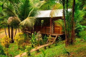 a house in the middle of a forest with palm trees at Cabañas Dechi in Puerto Nariño