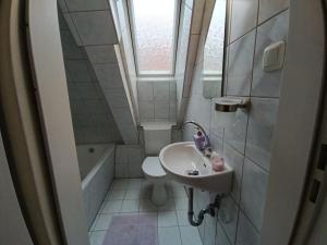 ein kleines Bad mit einem Waschbecken und einem WC in der Unterkunft cosy old studio at Schlosspark in Wiesbaden