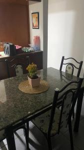 een tafel met een potplant erop bij Quarto Privativo Zona Sul RP in Ribeirão Preto