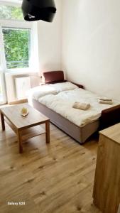 - une chambre avec un lit et une table basse dans l'établissement Apartmán BB-Centrum1, à Banská Bystrica