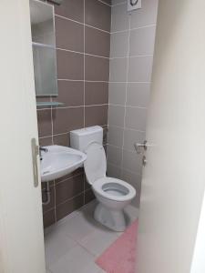 a bathroom with a toilet and a sink at Evelin Apartment in Belgrade