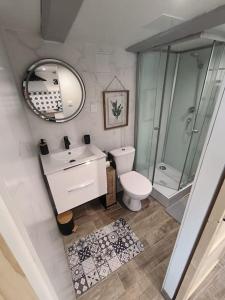 a bathroom with a toilet and a sink and a mirror at La porte Bleue in Neuville-de-Poitou