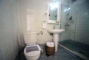a bathroom with a toilet and a sink and a shower at Anthelia Apartments in Myrties