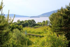 een uitzicht op een meer vanuit een veld met bomen bij Къщи за гости Илиеви , Цигов Чарк in Batak