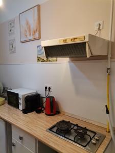 a kitchen with a stove and a microwave at Malomszeg Apartman in Pécs