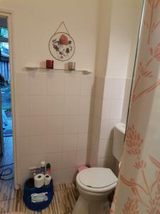 a bathroom with a toilet and a plate on the wall at Malomszeg Apartman in Pécs