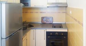 a small kitchen with a stove and a sink at Apartman Pazova in Soko Banja