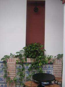 Imagen de la galería de Apartamentos Turisticos Casa Cantillo, en Carmona