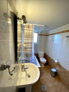 łazienka z umywalką i toaletą w obiekcie Demy's apartments w mieście Kardítsa