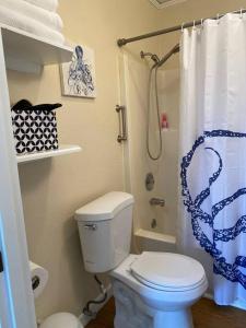 a bathroom with a white toilet and a shower at Riverview Downtown Cottage in Astoria, Oregon
