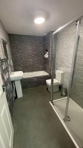 a bathroom with a toilet and a sink and a shower at RYAN I AIR I BNB - 102 Mill Street - Free Parking in Liverpool