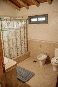 een badkamer met een toilet, een wastafel en een douche bij Casa de Campo Kagua Kolke 8Pax By Inside in Tupungato