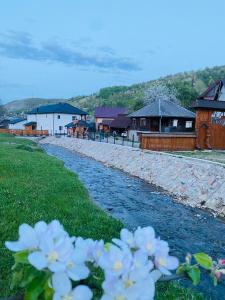 a river with a bunch of flowers in the grass at Pensiunea Suci in Botiza +168 photos
