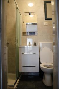 ein kleines Bad mit einem WC und einer Dusche in der Unterkunft Apartments Josipa in Primošten