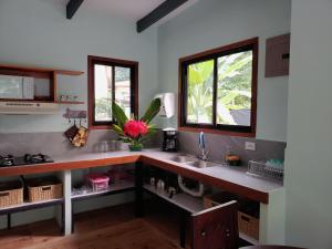 a kitchen with a sink and two windows at Villa Akala in Cocles