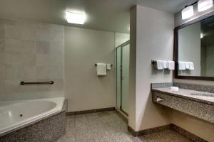 Koupelna v ubytování Drury Inn & Suites Findlay