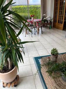 une terrasse avec une table et une plante en pot dans l'établissement Les voyages de Louison, à Lavardac
