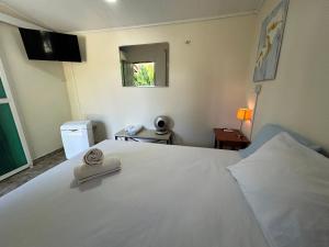 聖卡洛斯的住宿－Casa Eden Garden, Panama，卧室设有一张白色大床和一扇窗户。