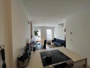 uma cozinha com um balcão e uma sala de estar em 1 Bedroom in apartment in Bedstuy Brooklyn em Brooklyn