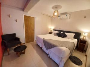 a bedroom with a large bed and a chair at Hotel Chardonnay in Tupungato