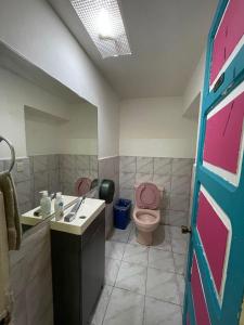 La salle de bains est pourvue de toilettes roses et d'un lavabo. dans l'établissement Casa frida a 2 minutos del malecón, à Puerto Vallarta