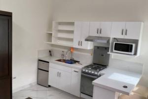 a white kitchen with a sink and a microwave at Loft, Departamento Con cocina, Súper Lujo, Cuarzo in Monterrey
