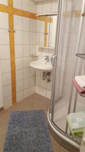 a bathroom with a shower and a sink at Ferienwohnung am Bloschk in Schwielochsee