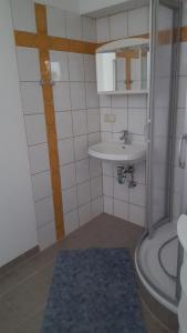 a bathroom with a shower and a sink and a toilet at Ferienwohnung am Bloschk in Schwielochsee