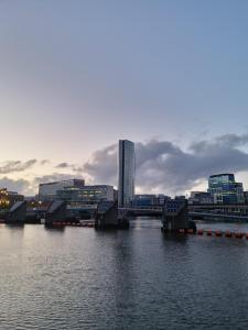 miasto z mostem nad wodą w obiekcie Sky High Ensuite Bedroom in Shared Apartment in Belfast City Centre w mieście Belfast