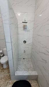 a bathroom with a shower with a toilet at Adorable Arouca 1BDR Apartment in Arouca