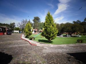 a group of trees in a park with a playground at Hotel Cabañas Chalamu in Pátzcuaro