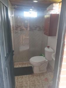 a bathroom with a toilet and a shower at Chalet Lupe in Palestina