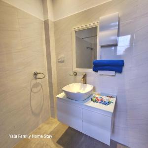 a white bathroom with a sink and a mirror at YALA FAMILY HOMESTAY in Tissamaharama