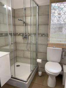 uma casa de banho com um WC e uma cabina de duche em vidro. em Prestige em Fort-de-France