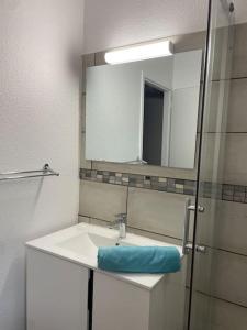 La salle de bains est pourvue d'un lavabo et d'un miroir. dans l'établissement Prestige, à Fort-de-France