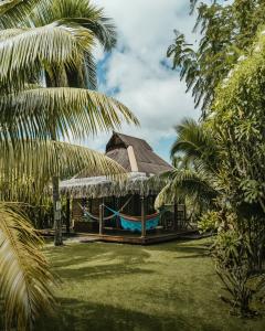 a resort with a hammock in a yard with palm trees at Bungalow Bali Hai in Fare