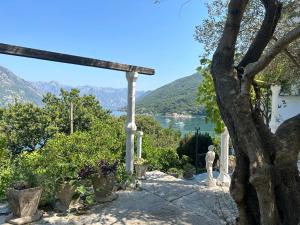 a garden with a view of the water at Vila Violeta in Donji Morinj