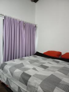 ein Schlafzimmer mit einem Bett und einem lila Vorhang in der Unterkunft Chiquense in Punta del Este