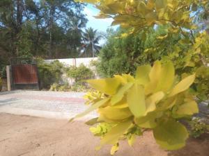 Giardino di Coastal Heaven Villa