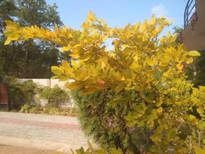 Giardino di Coastal Heaven Villa
