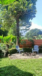 dwa krzesła siedzące obok drzewa na podwórku w obiekcie Anteng Villa 