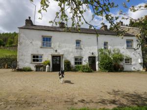 einem Hund, der vor einem weißen Haus steht in der Unterkunft Moss Side Farm Cottage in lower hawthwaite