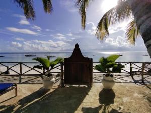 a gate with two potted plants in front of the ocean at Mamamapambo Boutique Hotel in Jambiani