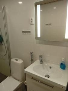 ein Badezimmer mit einem WC, einem Waschbecken und einem Spiegel in der Unterkunft Helsinki-Pasilan Helmi in Helsinki