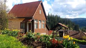 Vườn quanh Casa de vacanta la Kerek