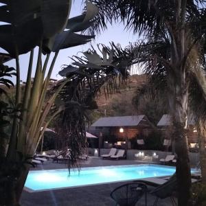 a swimming pool with palm trees and chairs next to it at Almirikia Apartments in Mourteri