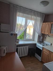 カームヤネツィ・ポジーリシクィイにあるApartment на Героїв Небесної Сотні 39 кв96のキッチン(白い冷蔵庫付)、窓
