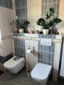 y baño con aseo, lavabo y plantas. en Cat’s House- Dům u třech koček, en Zdice